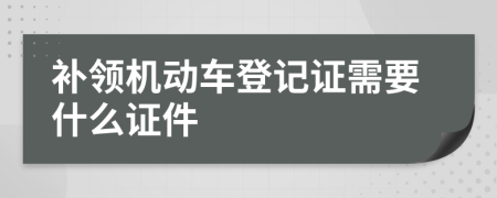 补领机动车登记证需要什么证件