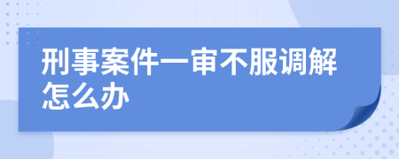 刑事案件一审不服调解怎么办