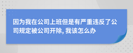 因为我在公司上班但是有严重违反了公司规定被公司开除, 我该怎么办