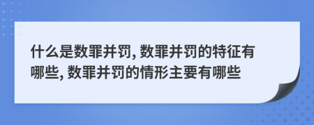 什么是数罪并罚, 数罪并罚的特征有哪些, 数罪并罚的情形主要有哪些