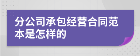 分公司承包经营合同范本是怎样的