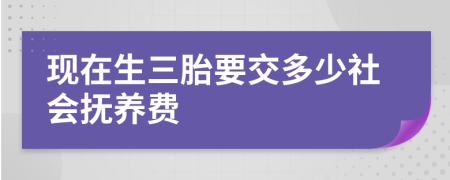 现在生三胎要交多少社会抚养费