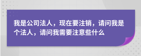 我是公司法人，现在要注销，请问我是个法人，请问我需要注意些什么