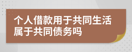 个人借款用于共同生活属于共同债务吗