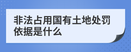 非法占用国有土地处罚依据是什么