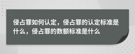 侵占罪如何认定，侵占罪的认定标准是什么，侵占罪的数额标准是什么