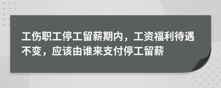 工伤职工停工留薪期内，工资福利待遇不变，应该由谁来支付停工留薪