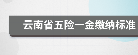 云南省五险一金缴纳标准