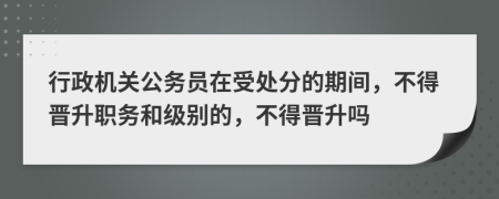 行政机关公务员在受处分的期间，不得晋升职务和级别的，不得晋升吗