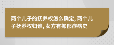 两个儿子的抚养权怎么确定, 两个儿子抚养权归谁, 女方有抑郁症病史