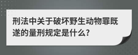 刑法中关于破坏野生动物罪既遂的量刑规定是什么?