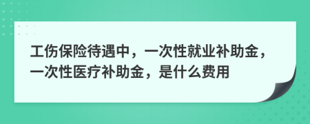 工伤保险待遇中，一次性就业补助金，一次性医疗补助金，是什么费用