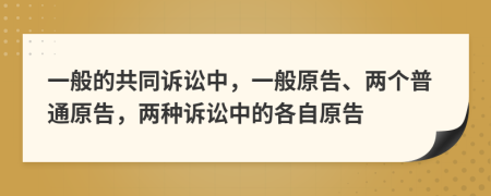 一般的共同诉讼中，一般原告、两个普通原告，两种诉讼中的各自原告