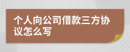 个人向公司借款三方协议怎么写