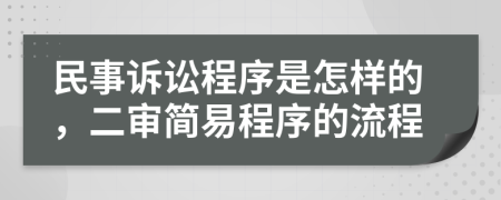 民事诉讼程序是怎样的，二审简易程序的流程
