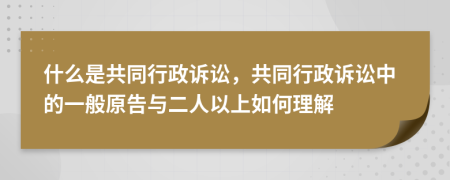 什么是共同行政诉讼，共同行政诉讼中的一般原告与二人以上如何理解