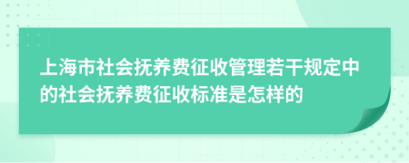 上海市社会抚养费征收管理若干规定中的社会抚养费征收标准是怎样的
