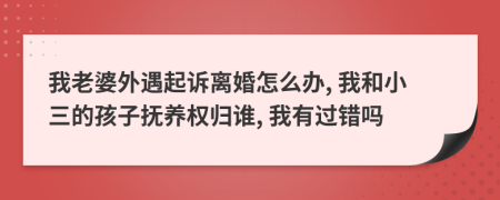 我老婆外遇起诉离婚怎么办, 我和小三的孩子抚养权归谁, 我有过错吗