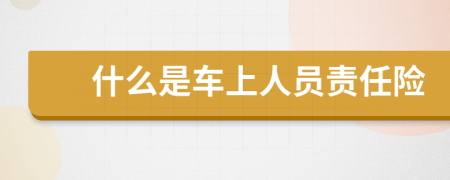 什么是车上人员责任险