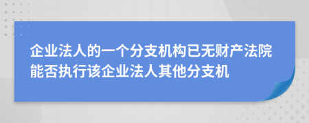 企业法人的一个分支机构已无财产法院能否执行该企业法人其他分支机