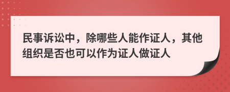 民事诉讼中，除哪些人能作证人，其他组织是否也可以作为证人做证人