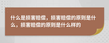 什么是损害赔偿，损害赔偿的原则是什么，损害赔偿的原则是什么样的
