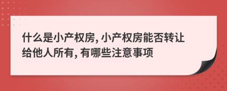 什么是小产权房, 小产权房能否转让给他人所有, 有哪些注意事项