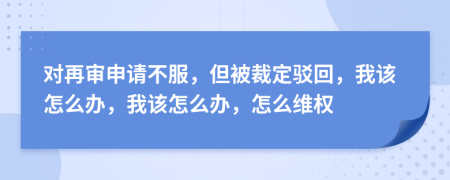 对再审申请不服，但被裁定驳回，我该怎么办，我该怎么办，怎么维权