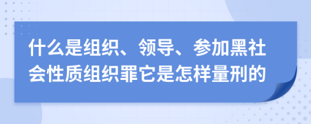 什么是组织、领导、参加黑社会性质组织罪它是怎样量刑的