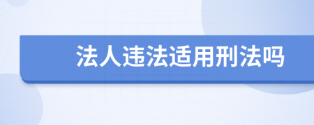 法人违法适用刑法吗