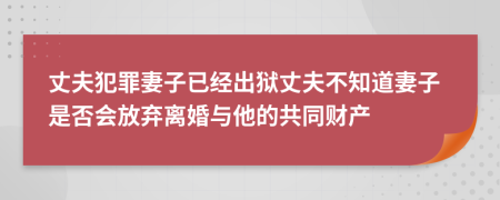 丈夫犯罪妻子已经出狱丈夫不知道妻子是否会放弃离婚与他的共同财产