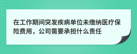 在工作期间突发疾病单位未缴纳医疗保险费用，公司需要承担什么责任