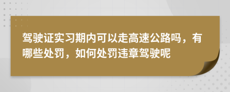 驾驶证实习期内可以走高速公路吗，有哪些处罚，如何处罚违章驾驶呢