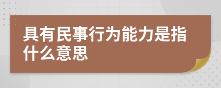 具有民事行为能力是指什么意思