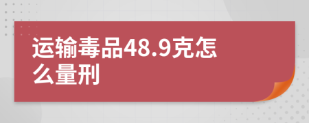 运输毒品48.9克怎么量刑