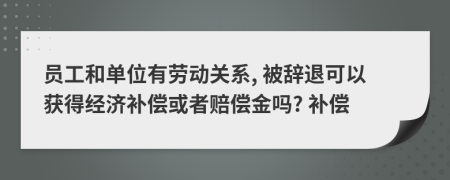 员工和单位有劳动关系, 被辞退可以获得经济补偿或者赔偿金吗? 补偿