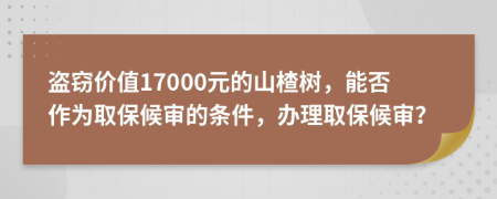 盗窃价值17000元的山楂树，能否作为取保候审的条件，办理取保候审？