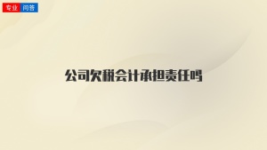 公司欠税会计承担责任吗