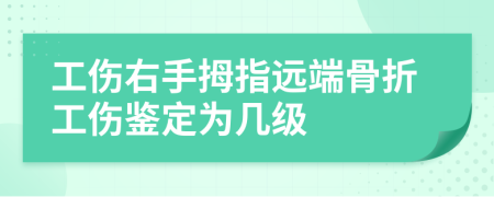 工伤右手拇指远端骨折工伤鉴定为几级