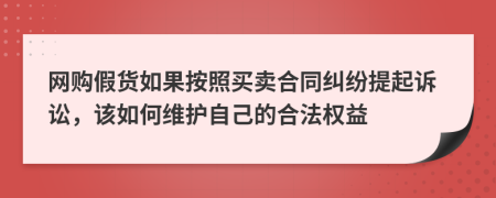 网购假货如果按照买卖合同纠纷提起诉讼，该如何维护自己的合法权益