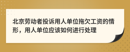 北京劳动者投诉用人单位拖欠工资的情形，用人单位应该如何进行处理