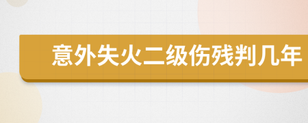 意外失火二级伤残判几年