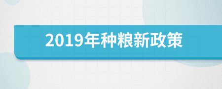 2019年种粮新政策