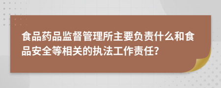 食品药品监督管理所主要负责什么和食品安全等相关的执法工作责任？