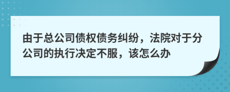 由于总公司债权债务纠纷，法院对于分公司的执行决定不服，该怎么办