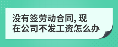 没有签劳动合同, 现在公司不发工资怎么办