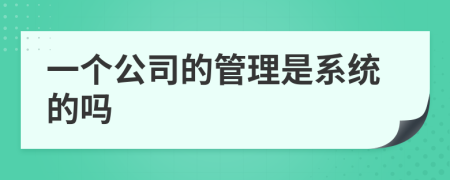 一个公司的管理是系统的吗
