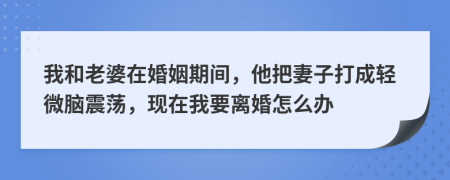 我和老婆在婚姻期间，他把妻子打成轻微脑震荡，现在我要离婚怎么办