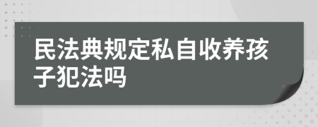 民法典规定私自收养孩子犯法吗
