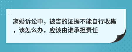 离婚诉讼中，被告的证据不能自行收集，该怎么办，应该由谁承担责任